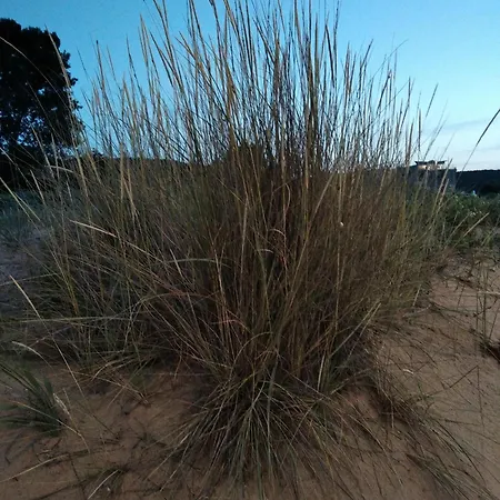 Quatro - South Pearl - Daire *