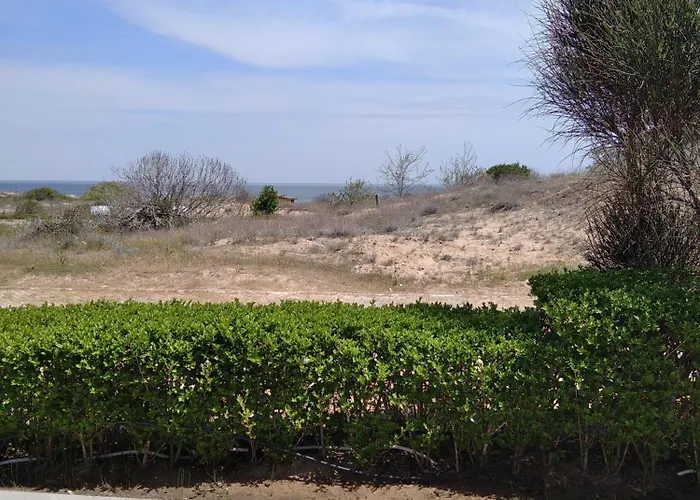 Quatro - South Pearl -